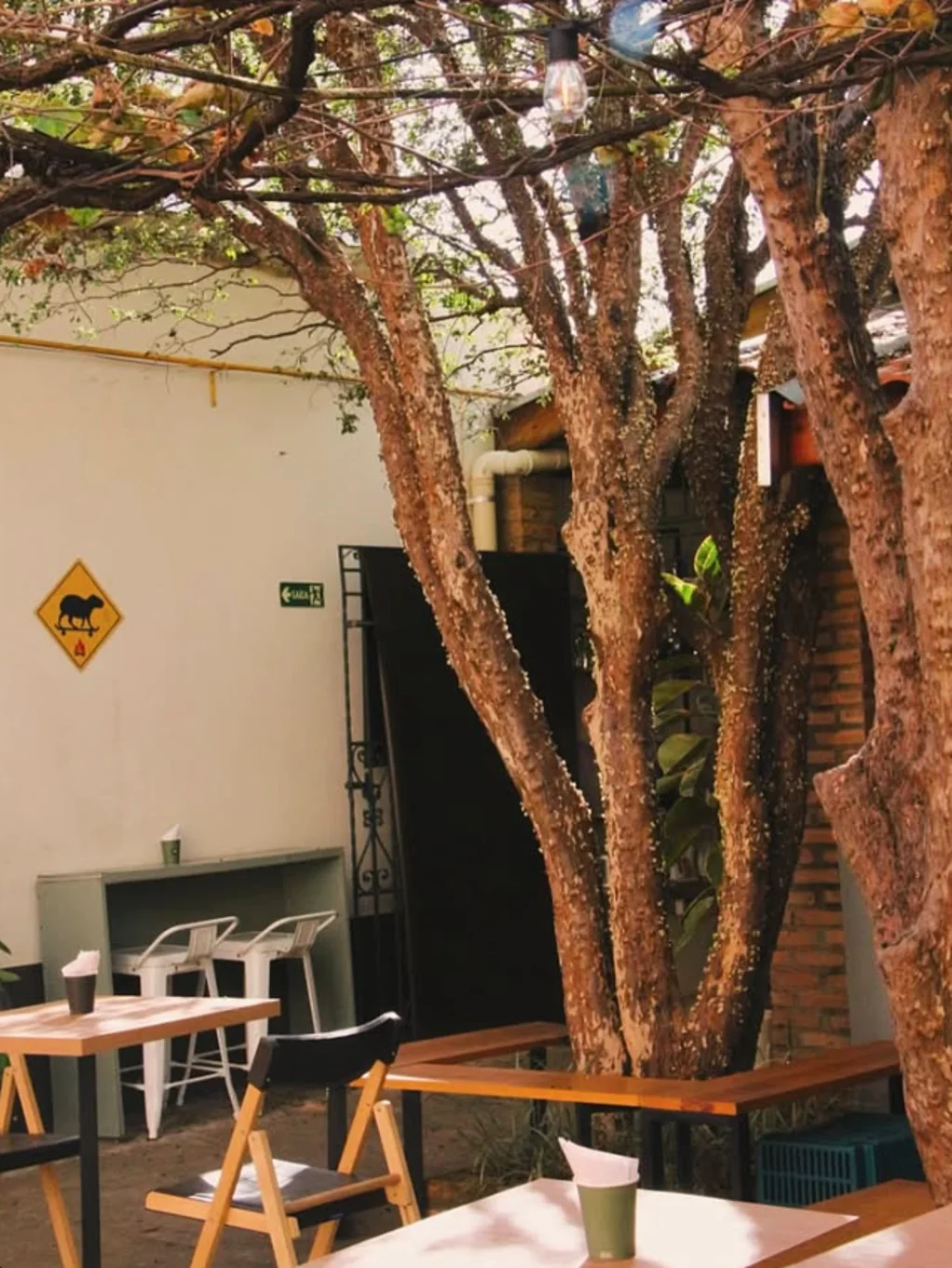 Área externa com árvore, mesas e placa de capivara